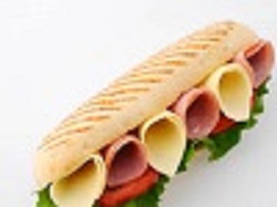 Panini